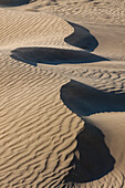 Curving crest of a dune in the Mesquite Flat Sand Dunes in the Mojave Desert in Death Valley National Park, California.