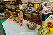 A display of different mango varieties at the Bani Mango Expo in Bani, Dominican Republic.