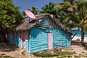 A small, traditional wooden slab house with a rpalm thatch roof and satellite dish in the rural Dominican Republic.