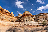 Erodierte Navajo-Sandsteinformationen in der Nähe von South Coyote Buttes, Vermilion Cliffs National Monument, Arizona
