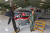 A Dominican Air Force pilot by a Super Tucano fighter aircraft at the San Isidro Air Base in the Dominican Republic.