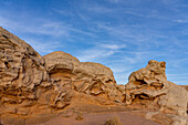 Eroded white pillow rock or brain rock sandstone in the White Pocket Recreation Area, Vermilion Cliffs National Monument, Arizona. Both the red and white are Navajo sandstone but the red has more iron oxide in it.