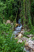 Ein kleiner Bach im Regenwald in der Provinz Barahona in der Dominikanischen Republik. Eine lange Verschlusszeit verleiht dem Wasser ein seidiges Aussehen