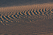 Wellenmuster in den Sanddünen von Mesquite Flat in der Nähe von Stovepipe Wells in der Mojave-Wüste im Death Valley National Park, Kalifornien