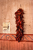 A string of dried chili peppers hanging on a wall in Arizona. Beside it is a vintage-looking handbill about the Mexican Revolution.