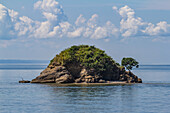 Small limestone island with a seagrape tree and a Great Blue Heron in the Bay of Samana in the Dominican Republic.