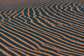 Ripple patterns in the Mesquite Flat sand dunes near Stovepipe Wells in the Mojave Desert in Death Valley National Park, California.