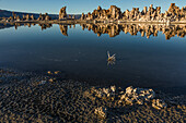 Tufa rock formations reflected in Mono Lake in California.