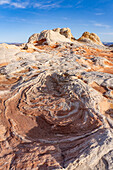 Eroded white pillow rock or brain rock sandstone in the White Pocket Recreation Area, Vermilion Cliffs National Monument, Arizona. Both the red and white are Navajo sandstone but the red has more iron oxide in it.