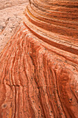 Eroded Navajo sandstone formations in the White Pocket Recreation Area, Vermilion Cliffs National Monument, Arizona. Cross-bedding is shown here.