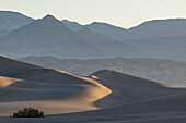 Sonnenaufgang auf den Mesquite Flat Sanddünen im Death Valley National Park in der Mojave-Wüste, Kalifornien