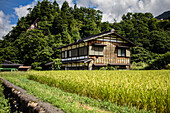 Shirakawa-go, traditionelles Dorf, das einen als gassho-zukuri bekannten Baustil zeigt, Präfektur Gifu, Japan