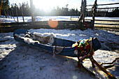 Traditional reindeer sledge. In the Reindeer farm of Tuula Airamo, a S?mi descendant, by Muttus Lake. Inari, Lapland, Finland