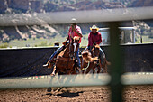 Rodeo competition during Navajo Nation Fair, a world-renowned event that showcases Navajo Agriculture, Fine Arts and Crafts, with the promotion and preservation of the Navajo heritage by providing cultural entertainment. Window Rock, Arizona.