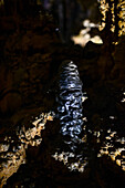 Caves of Artà (Coves d’Artà) in the municipality of Capdepera, in the Northeast of the island of Mallorca, Spain