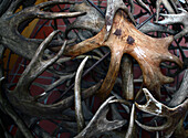 Sculpture made with reindeer horns. Kakslauttanen Arctic Resort in Saariselka, Finland