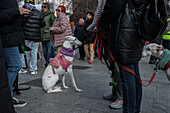 Thousands of people demonstrate in Spain to demand an end to hunting with dogs, Zaragoza, Spain