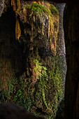 Naturpark Monasterio de Piedra, rund um das Monasterio de Piedra (Steinkloster) in Nuevalos, Zaragoza, Spanien