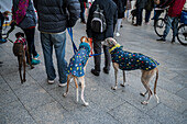 Thousands of people demonstrate in Spain to demand an end to hunting with dogs, Zaragoza, Spain