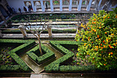 The Gardens of the Generalife in The Alhambra, palace and fortress complex located in Granada, Andalusia, Spain