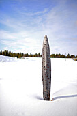 Artistic sculptures in Kakslauttanen Arctic Resort, Saariselka, Finland