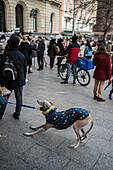 Tausende von Menschen demonstrieren in Spanien, um ein Ende der Jagd mit Hunden zu fordern, Zaragoza, Spanien