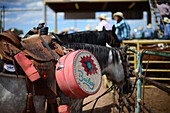 Rodeo-Wettbewerb während der Navajo Nation Fair, einer weltbekannten Veranstaltung, die die Landwirtschaft, die Kunst und das Kunsthandwerk der Navajo vorstellt und durch kulturelle Unterhaltung das Erbe der Navajo fördert und bewahrt. Window Rock, Arizona