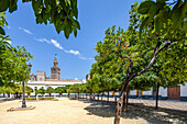 Historic Majesty: Giralda Tower View from Patio de Banderas Square, Seville, Spain