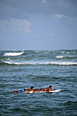 Two young men rowing on boards at Unawatuna beach, Sri Lanka