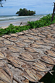 Straßenverkauf von getrocknetem Fisch in Weligama, Sri Lanka