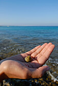 Frau hält eine Meeresschnecke, Formentera