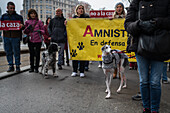 Tausende von Menschen demonstrieren in Spanien, um ein Ende der Jagd mit Hunden zu fordern, Zaragoza, Spanien