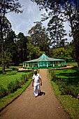 Mature man walks in Victoria Park, public park located in Nuwara Eliya, Sri Lanka