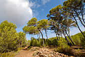 Ländliche Gegend auf Formentera, Spanien