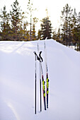 Cross country skis in the snow. Lapland, Finland