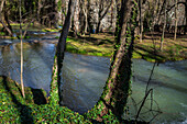 Naturpark Monasterio de Piedra, rund um das Monasterio de Piedra (Steinkloster) in Nuevalos, Zaragoza, Spanien