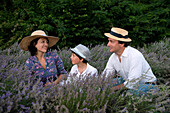 Lächelnde Familie mit Sohn (8-9) im Lavendelfeld