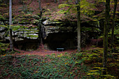Luxembourg, Echternach, Mullerthal, Mullerthal trail in autumn