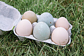 Eier aus Freilandhaltung in einem Karton auf einer Wiese