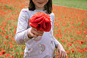 Mädchen (4-5) hält einen Strauß Mohnblumen auf einem Feld
