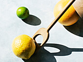 Studioaufnahme von Zitrone, Grapefruit und Limette
