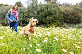 Spain, Mallorca, Woman with Golden Retriever in blooming meadow