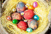 Italy, Turin, Overhead view of colorful chocolate Eater eggs