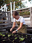 Australia, Melbourne, Smiling woman working in community garden