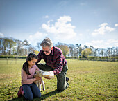 UK, North Yorkshire, Mädchen (6-7) mit Großvater beim Füttern von Lämmern auf einem Biobauernhof