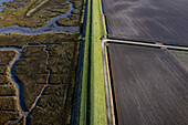 Aerial view of tidal wetlands bordering polder and dyke