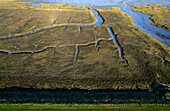 Aerial view of tidal wetlands bordering polder and dyke