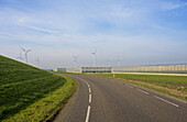 Netherlands, Zeeland, Commercial greenhouses and wind turbines along road
