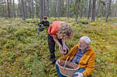 Mann und zwei Jungen (14-15, 16-17) beim Beerenpflücken im Wald