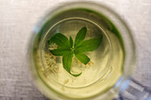 Tasse mit grünem Getränk und Blatt darin